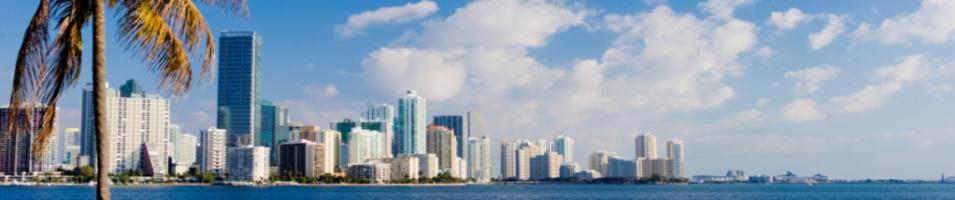 Miami Skyline